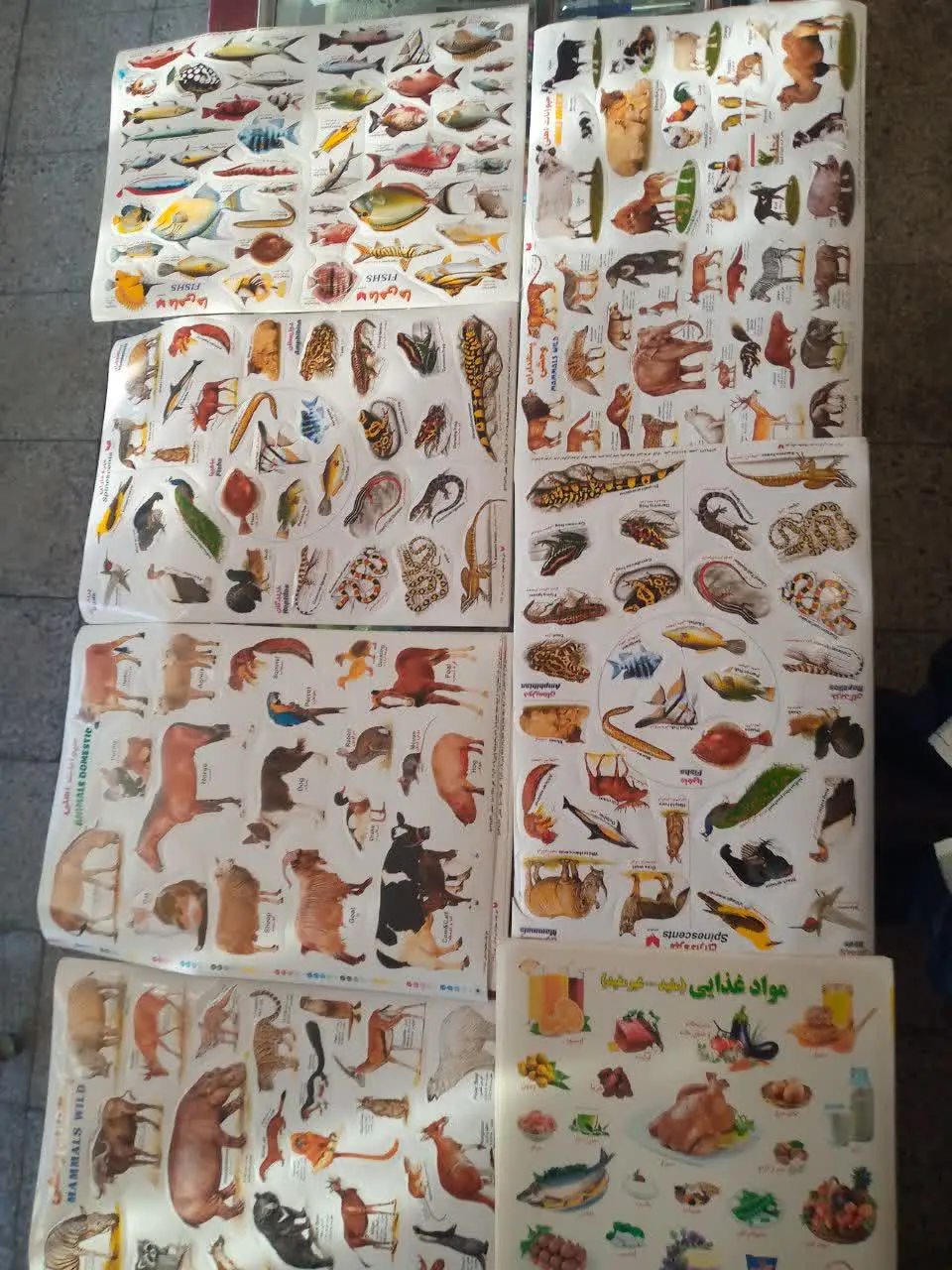 برچسب‌های آموزشی بزرگ🍒
