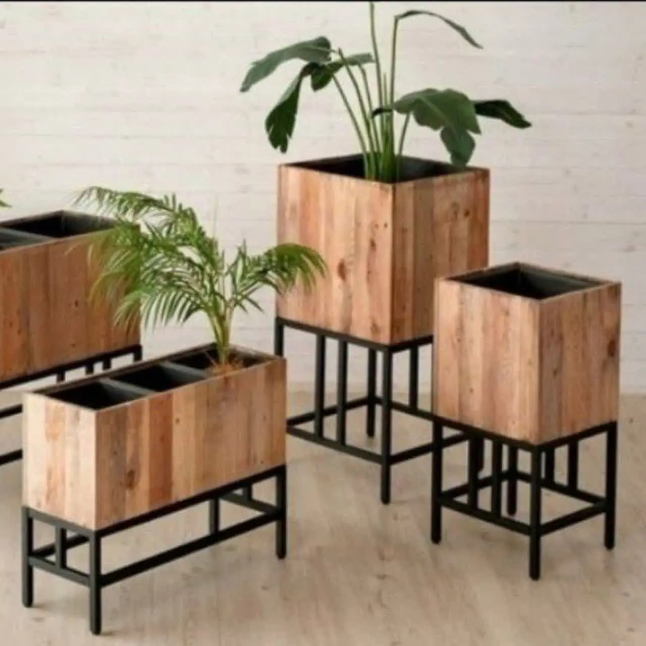 گالری چوب ماندگار