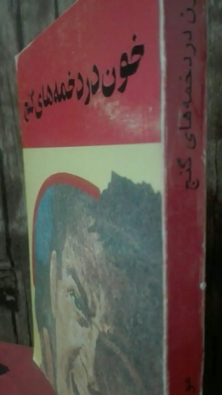 خون در دخمه‌های گنج (رمان پلیسی) 
