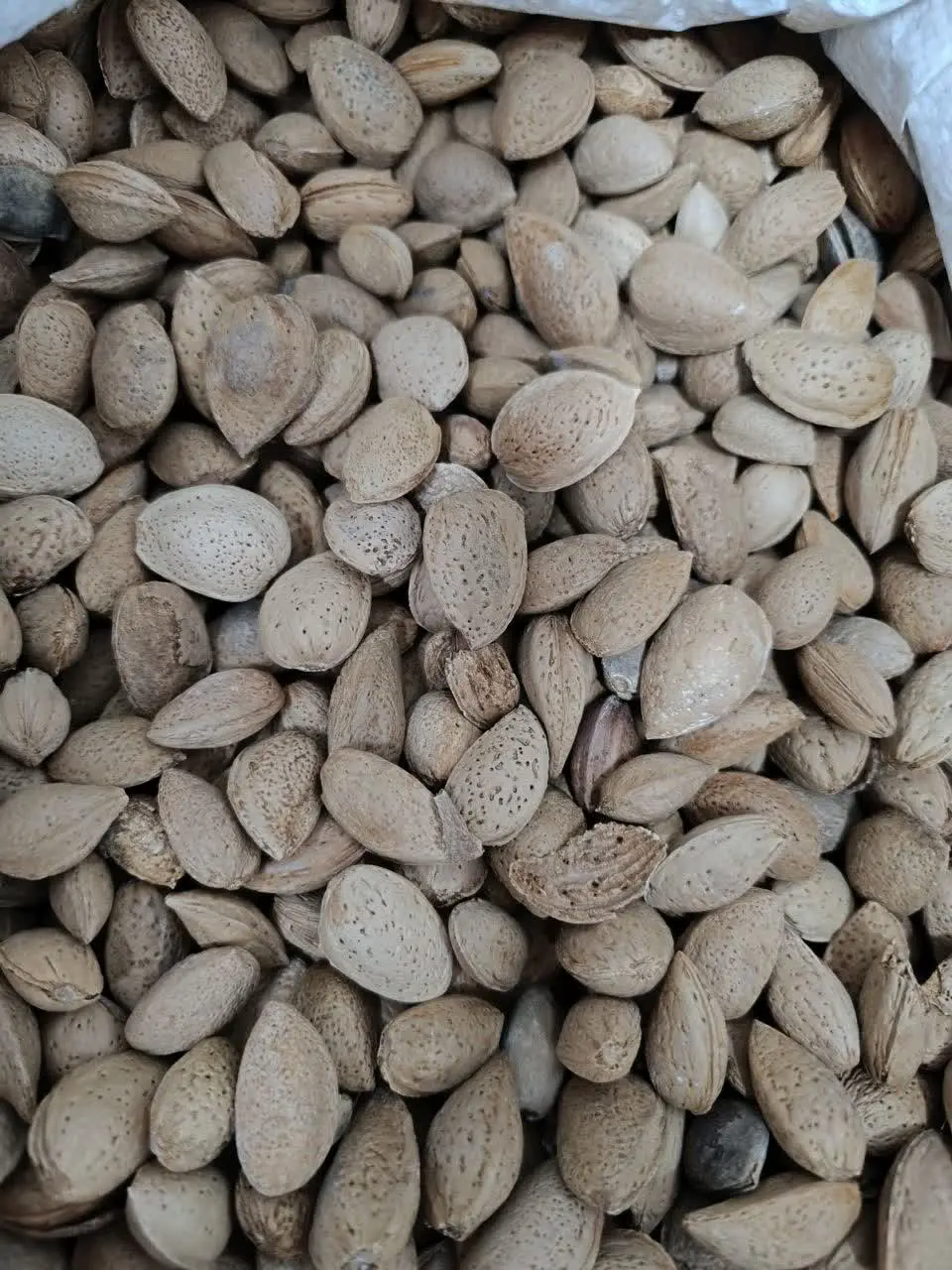 ✅ شارژ بادام درختی شیرین

