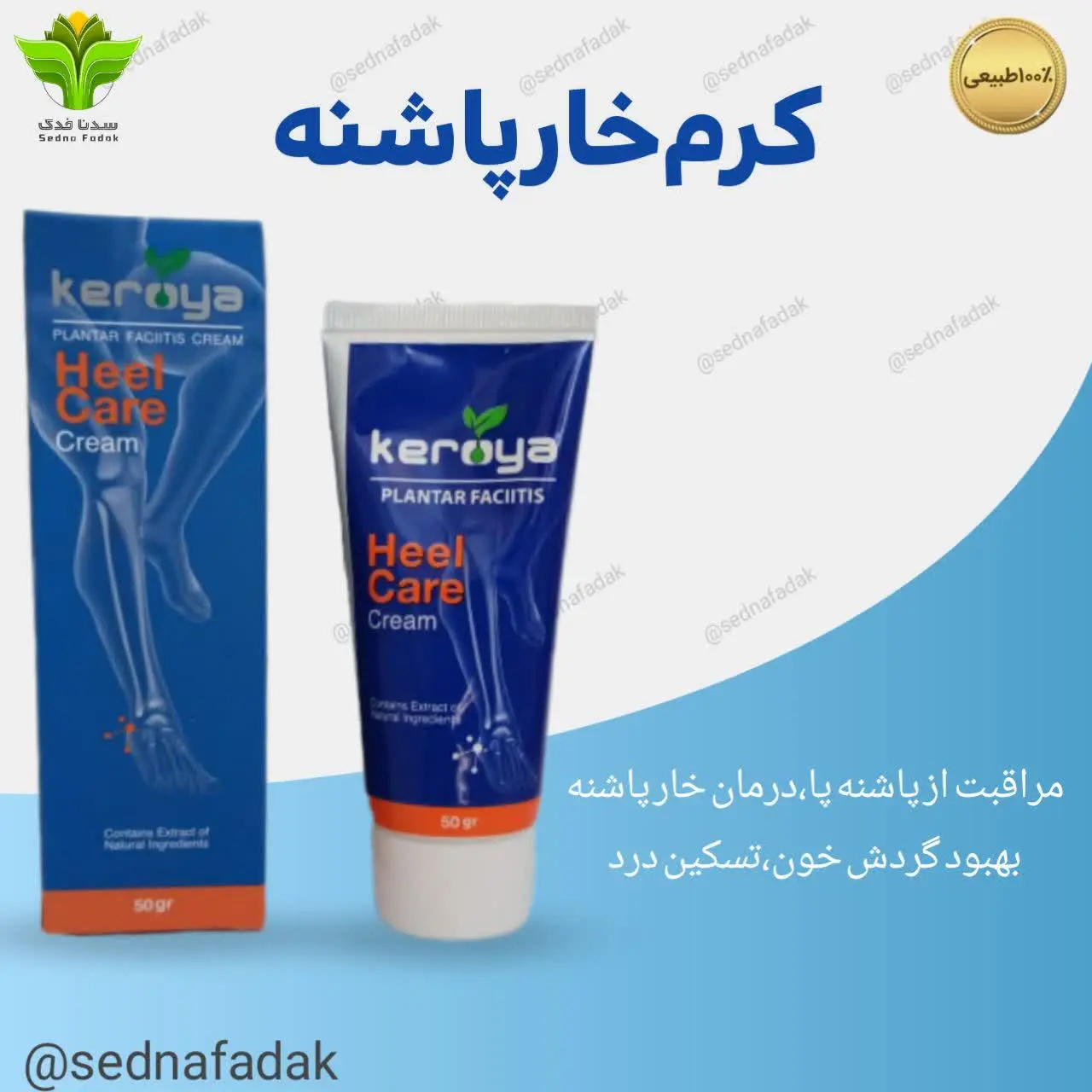 🔶️کرم خار پاشنه
