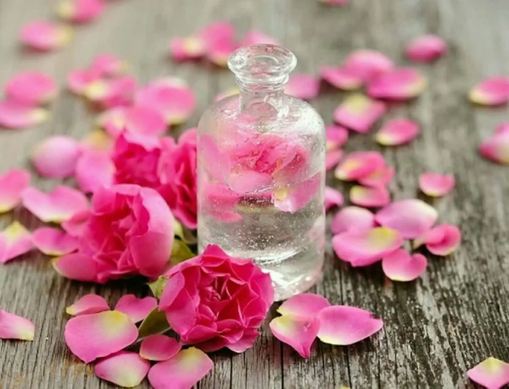 <a dir= «auto» href="http: //🌸🌸
