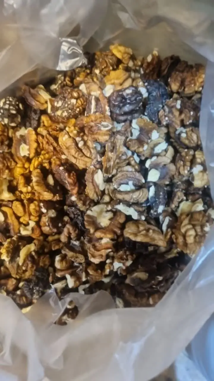 مغز گردوی امسالی
