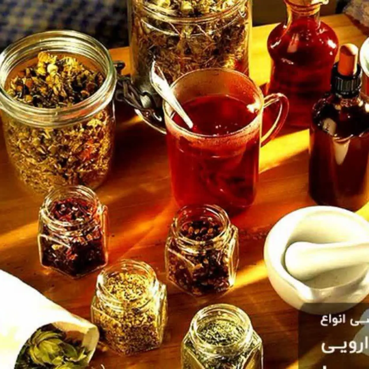 فروشگاه تخصصی محصولات گیاهی مایانا 