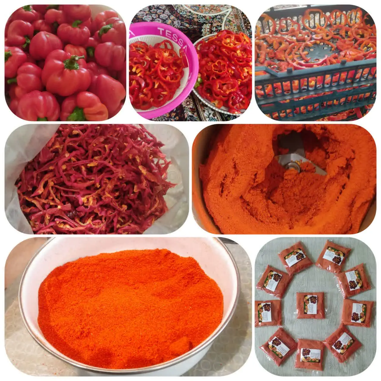 تمام مراحل آماده‌سازی پاپریکا قرمز دلبرمون به روایت تصویر: 
