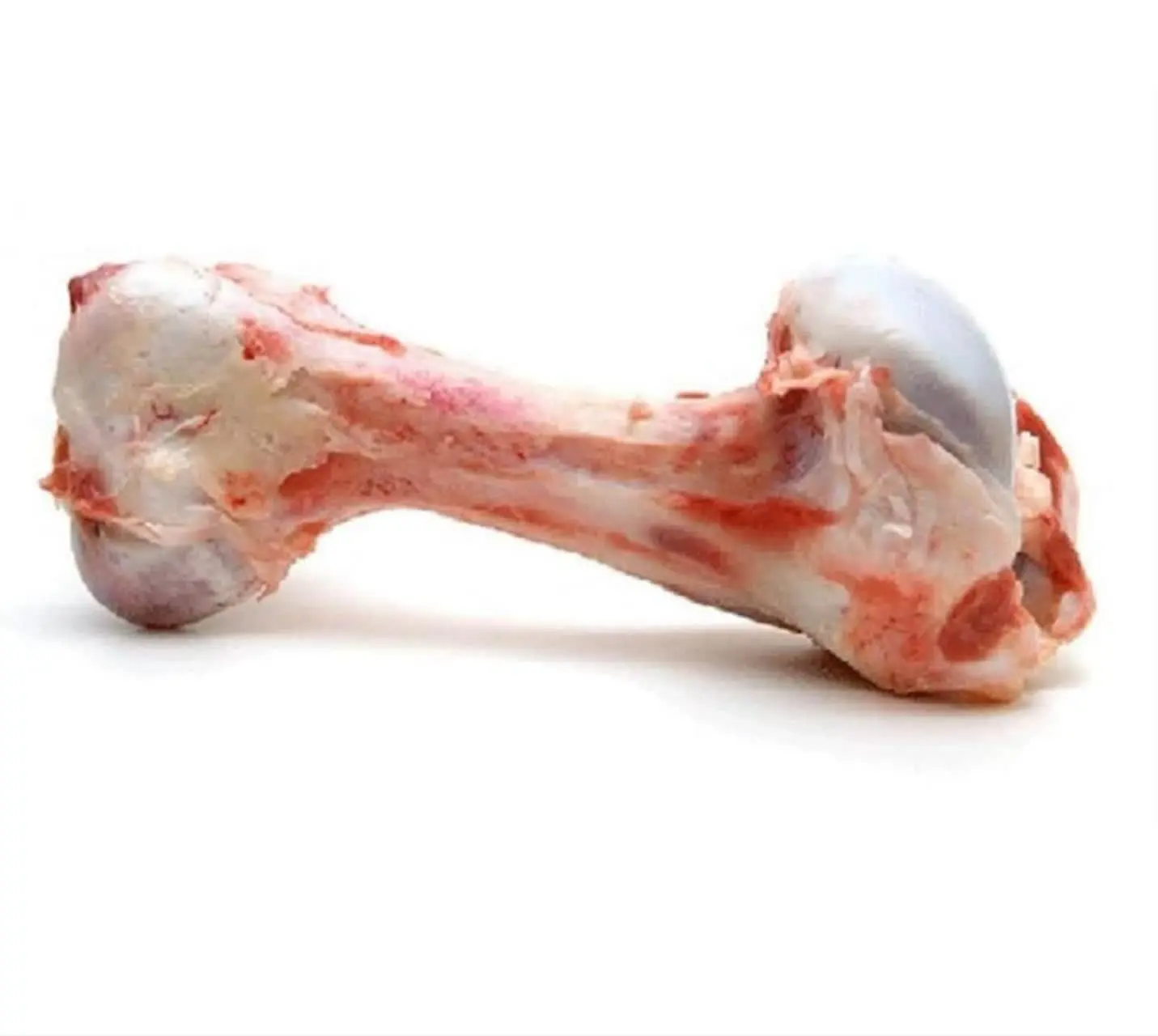 هم اکنون 📣
