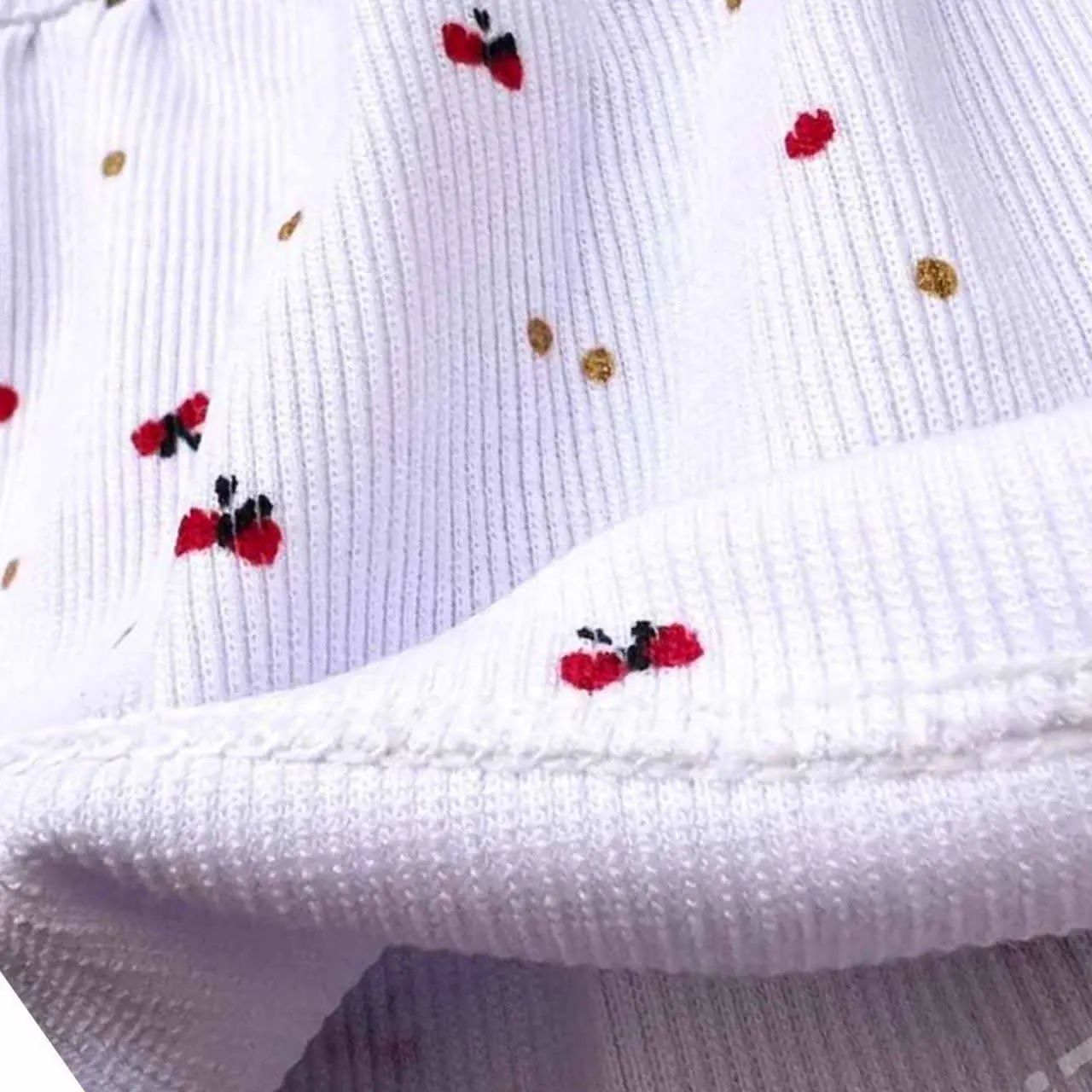 دو تیکه پاپیون قرمز
