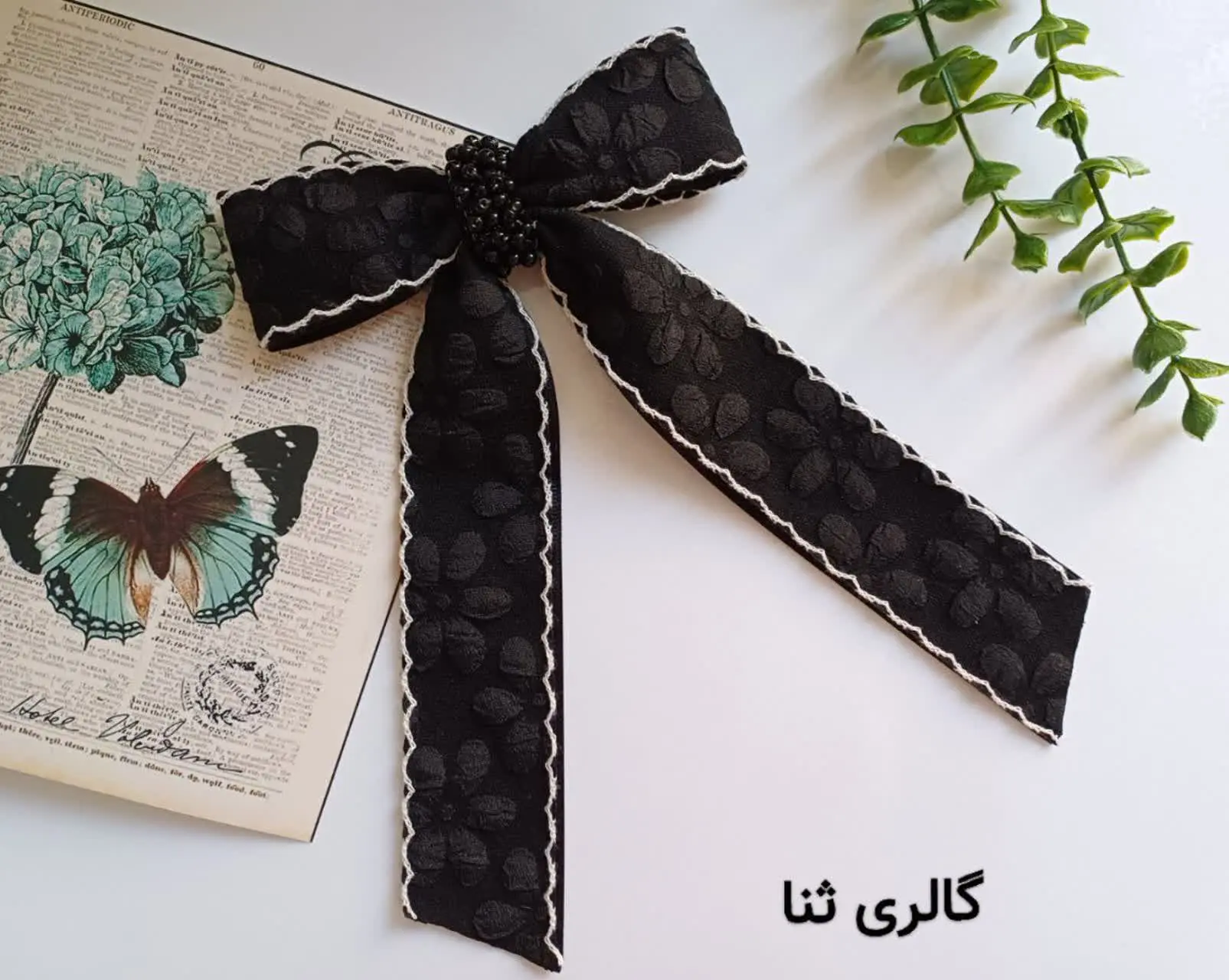 زیباترین پاپیون مشکی
