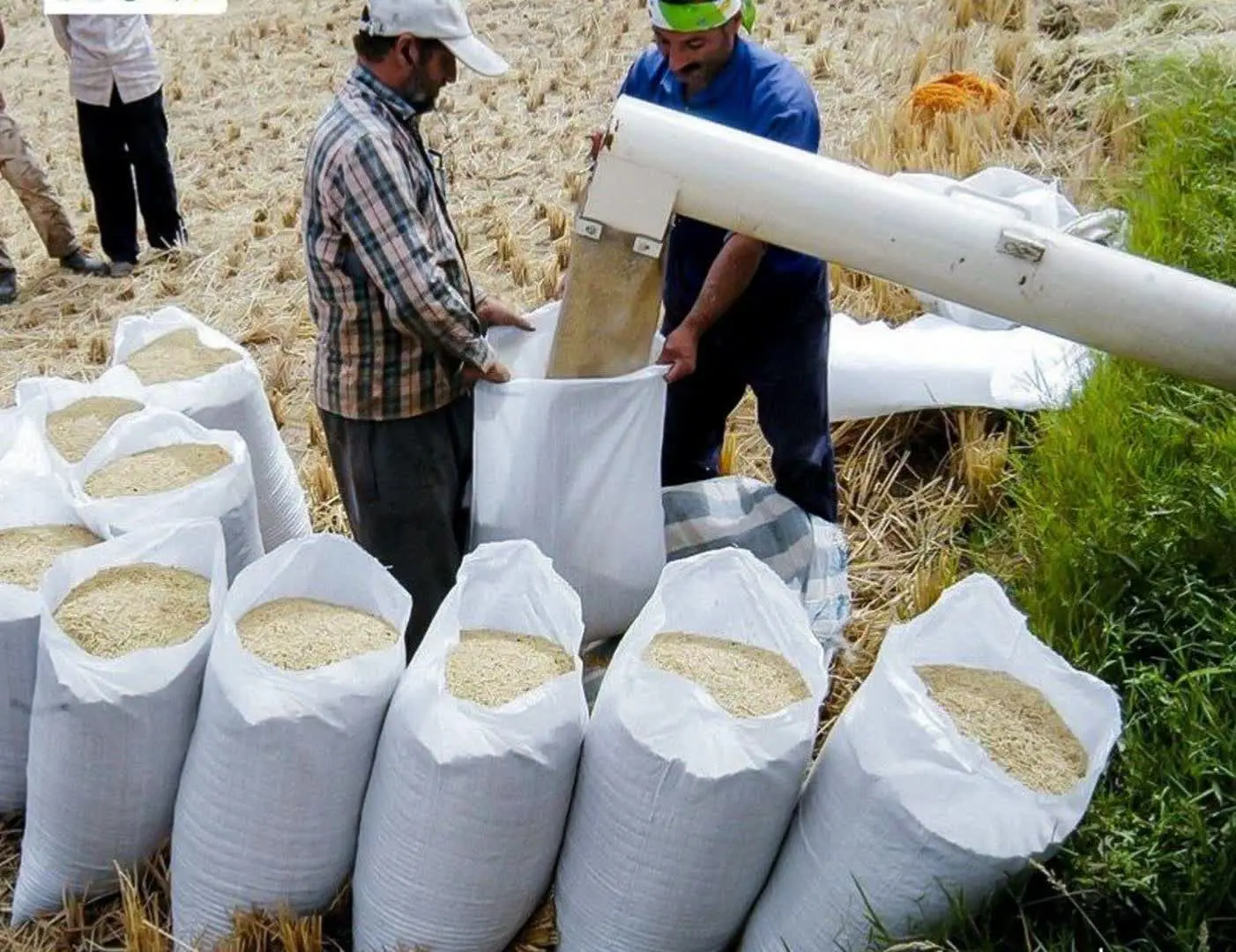 دوشنبه، ۶ مرداد ۱۴۰۴. 
