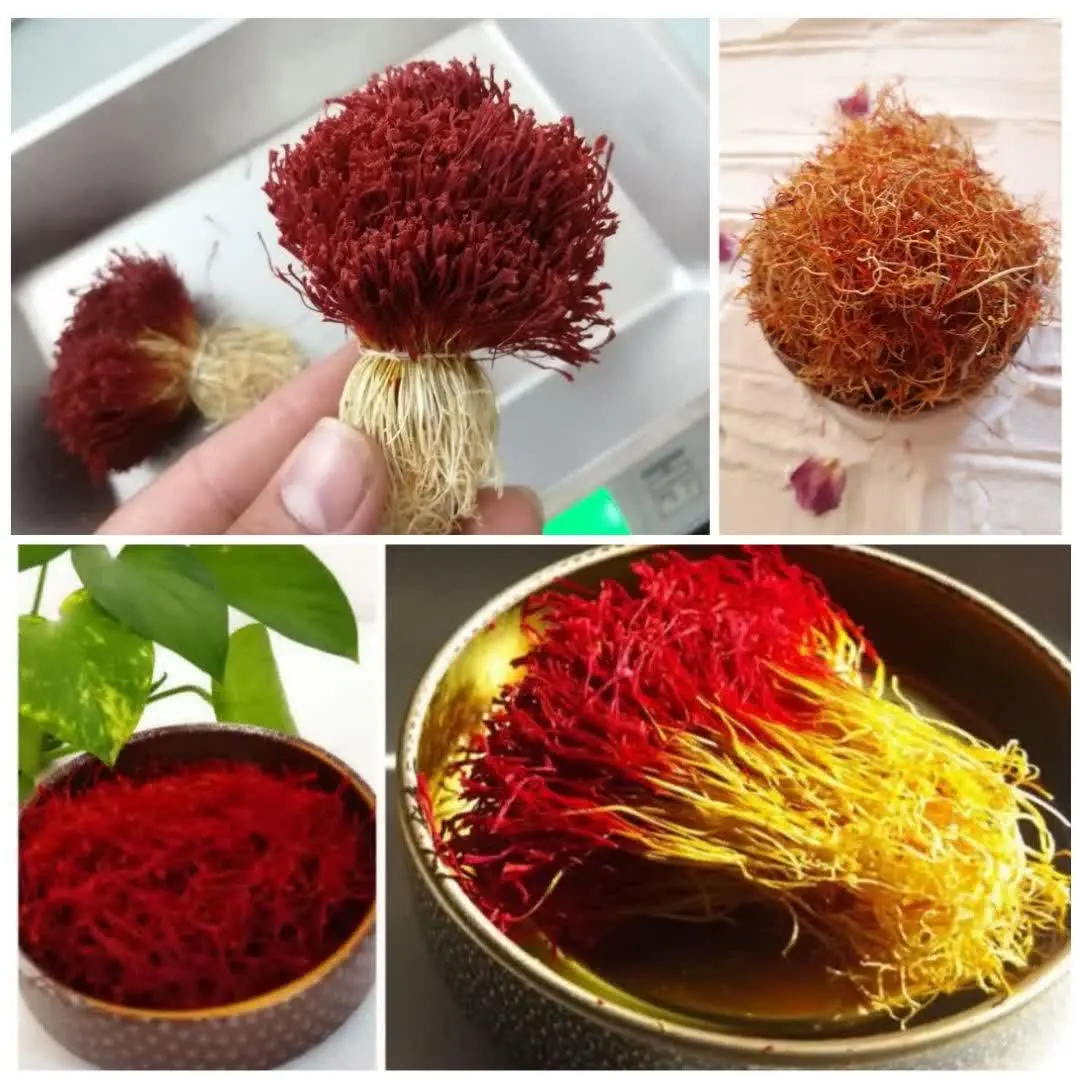 ♨️ به علت مسافرت دو ماهه، 
