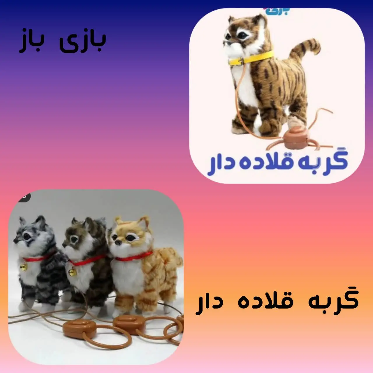 🐱#گربه با قلاده #کنترل دار
