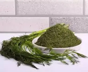 شوید خشک عالی 

