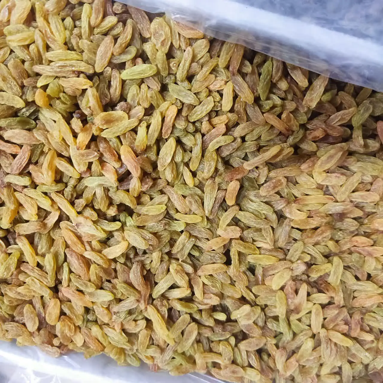 کشمش سبز آفتابی 🌞 
