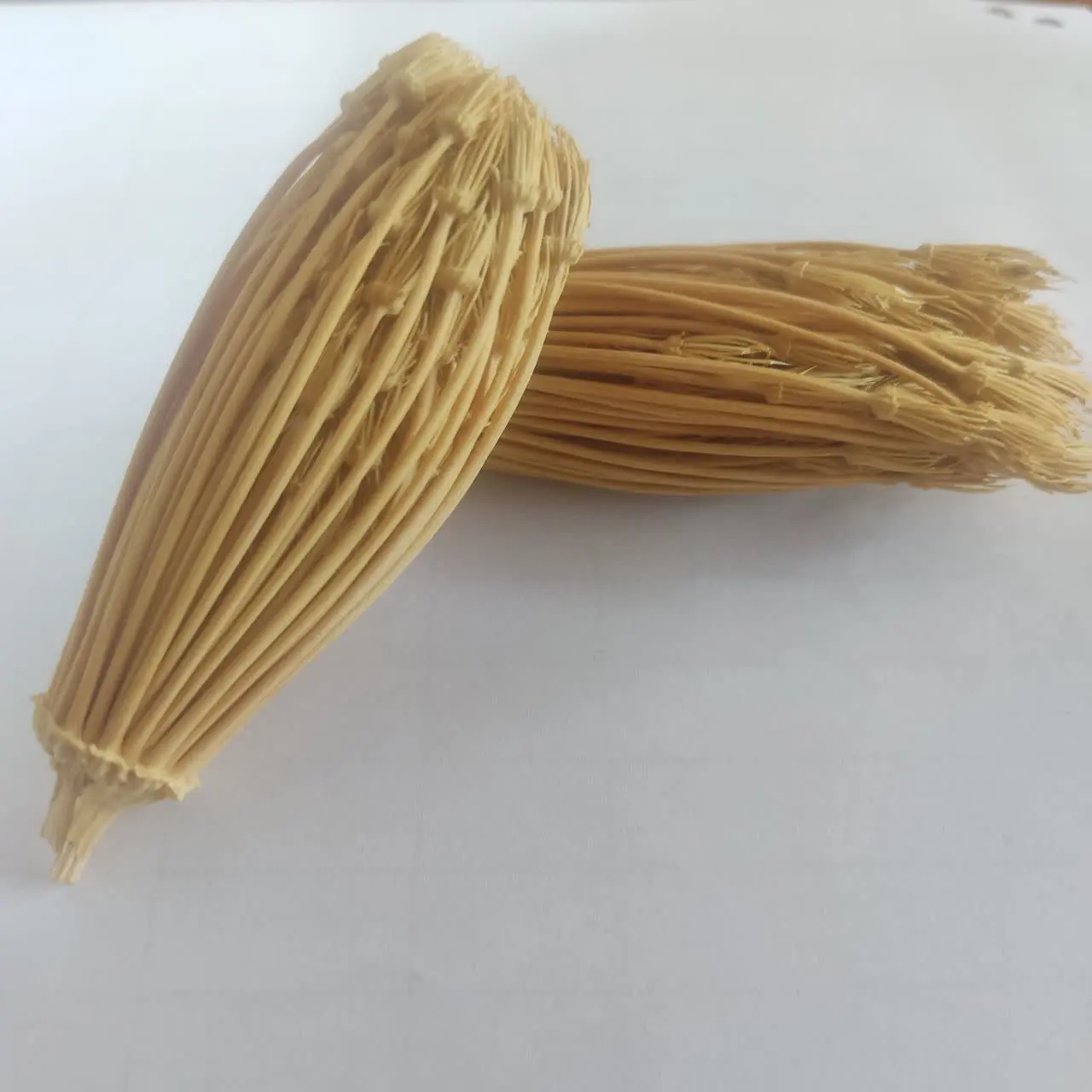 خلال دندان گیاهی🌱
