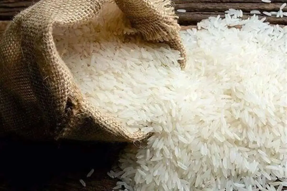 آدینه، ۲۰ تیر ۱۴۰۴. 
