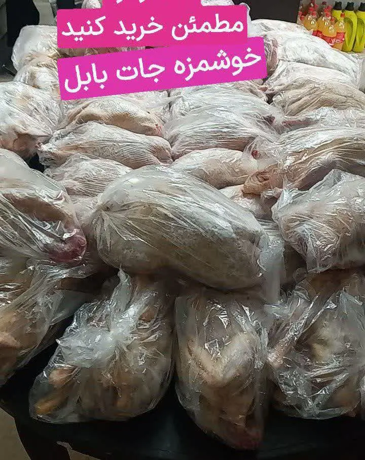 اردک‌های محلی اصل ما
