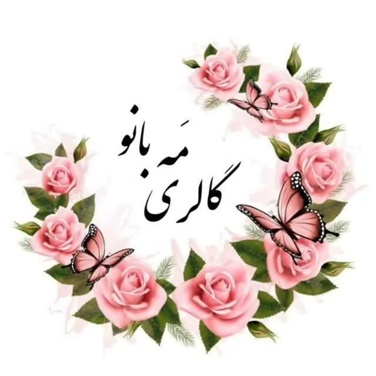 مَـ🌙ـه بانو | گالری روسری