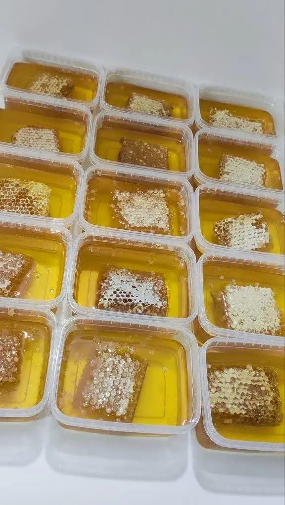 ‌ 
