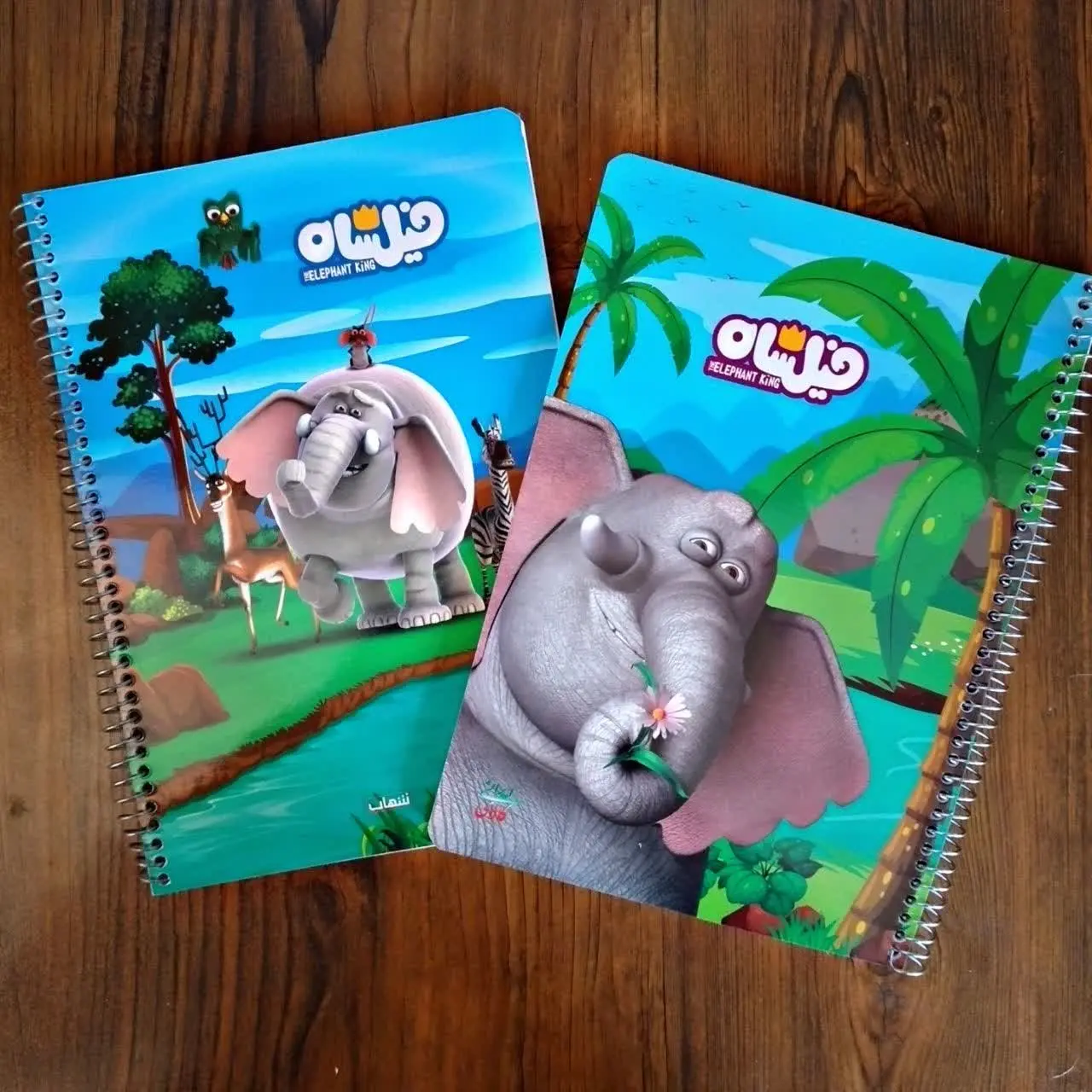 📌 نام محصول: دفتر نقاشی سیمی 
