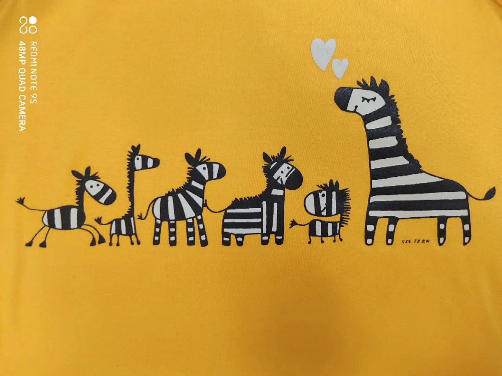 ۵ تا گورخر کوچولو، شونه  به...