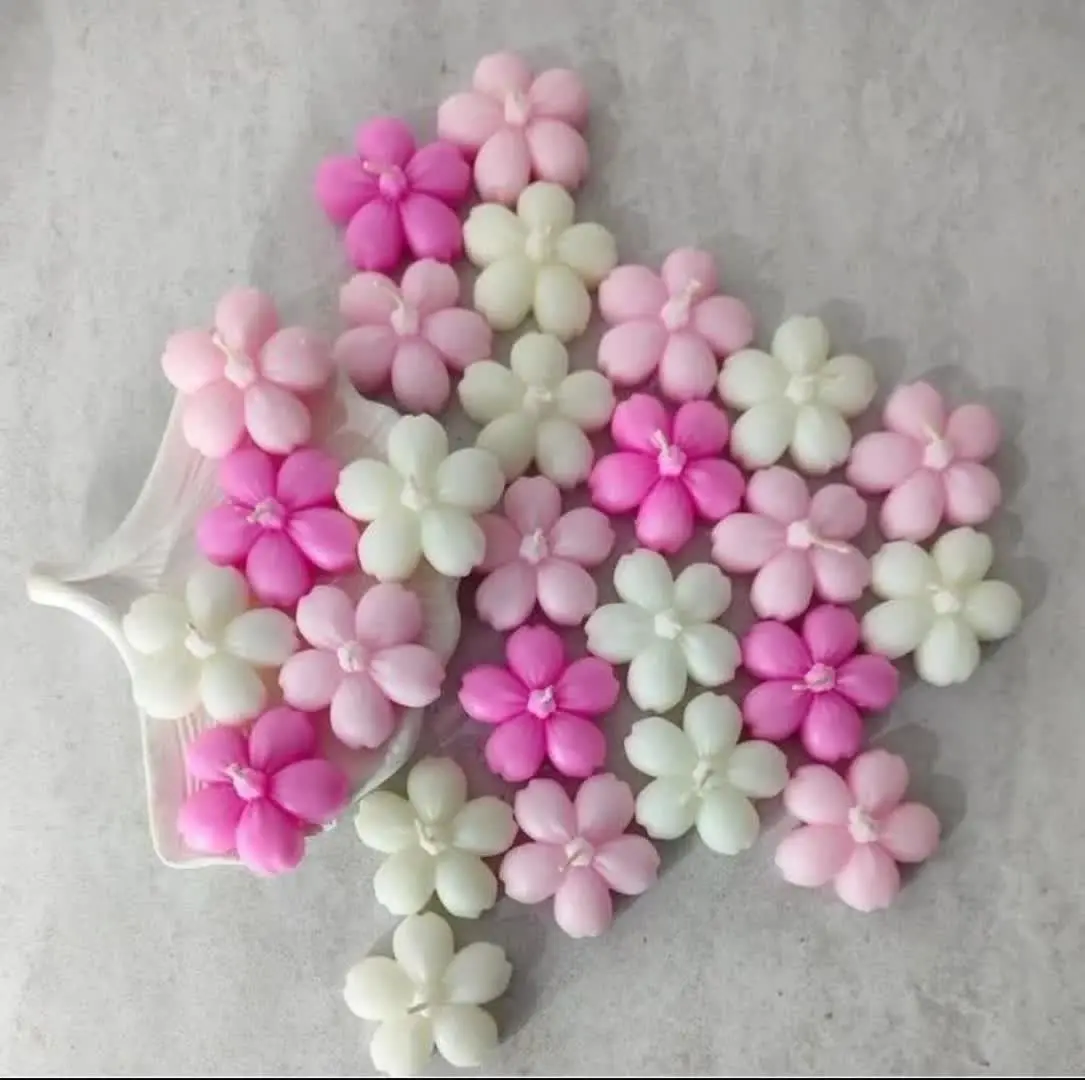 گل ۵پر🥰
