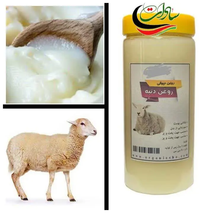🐏 شارژ روغن دنبه گوسفندی محلی 🐑
