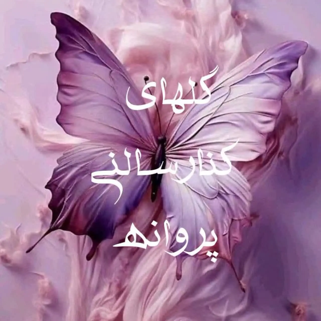 ┄┅═✧☫هــنرکـده پـروانـه☫✧═┅┄