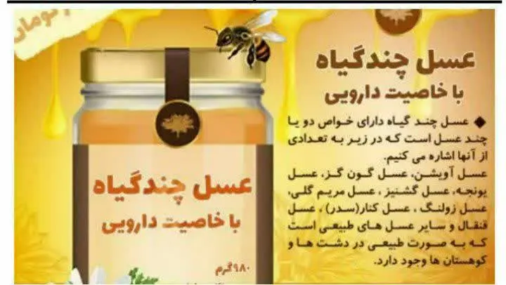 🐝🐝🐝🐝🐝🐝🐝🐝🐝🐝🐝🐝🐝
