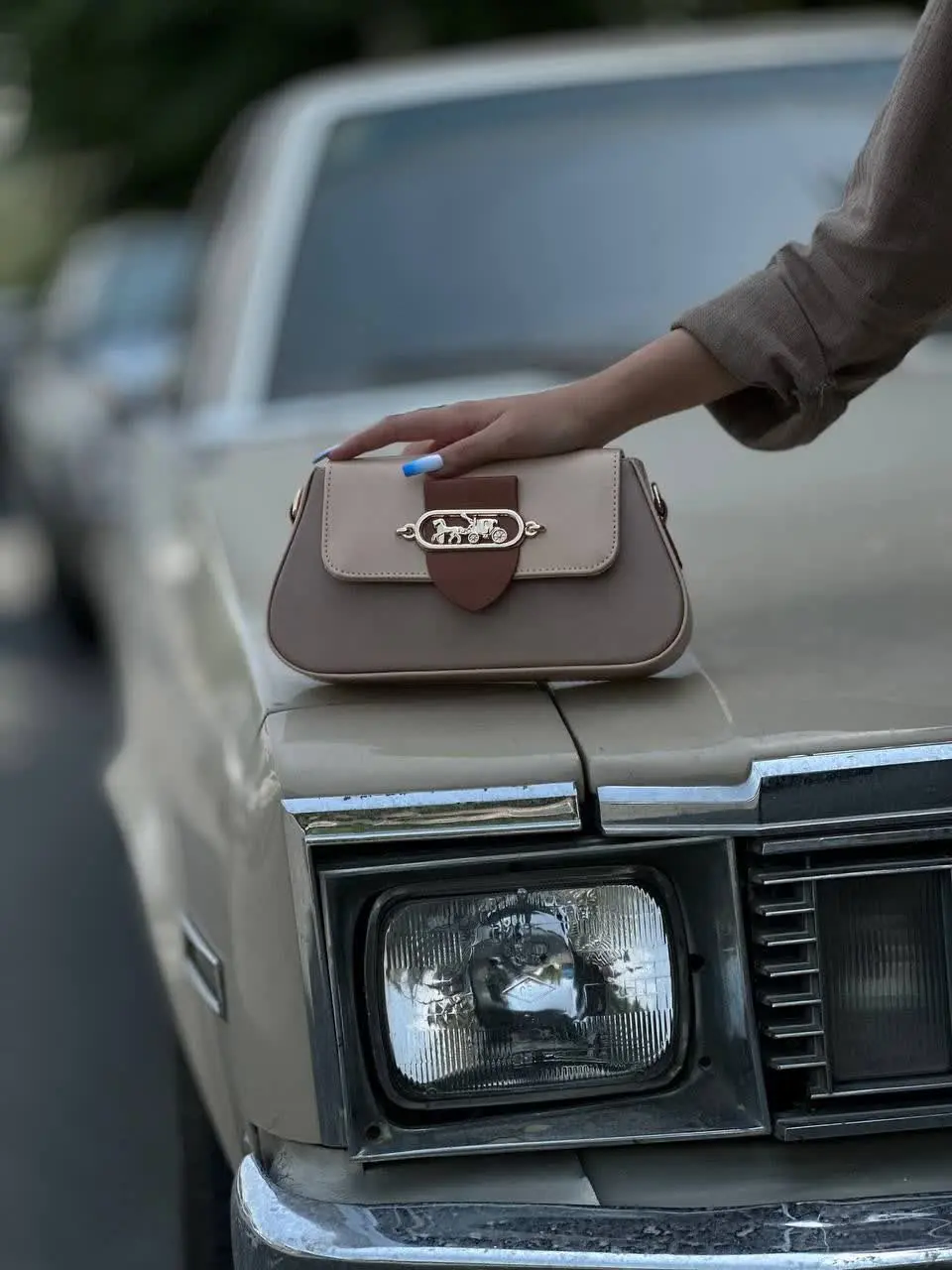 کیف پاسپورتی دوشی ☘🌸
