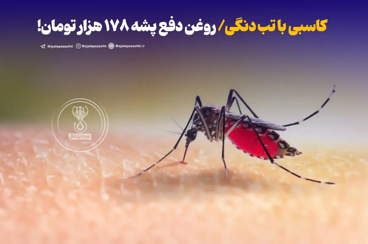◽️اگر سری به فضای مجازی بزنید با تبلیغات مختلف فروش روغن برای دفع پشه مواجه می‌شوید. به عنوان مثال فردی روغن دفع پشه آئدس را به قیمت ۱۷۸ هزار تومان می‌فروشد. مدیر کل دفتر بهبود تغذیه جامعه و