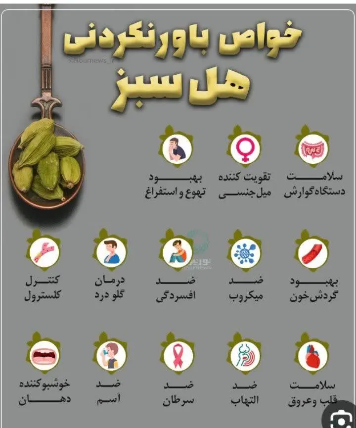 خواص باور نکردنی هل☝️
