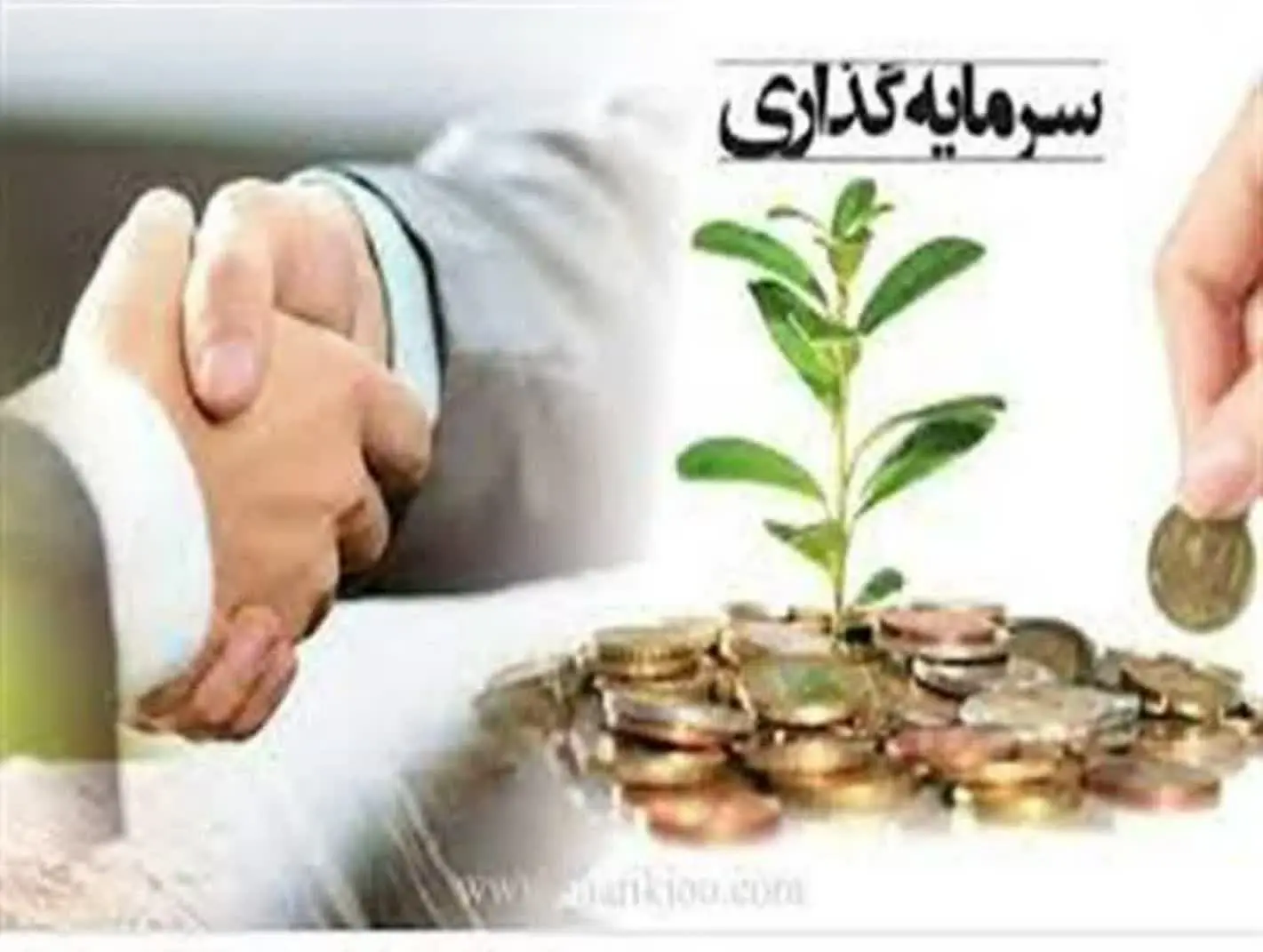 📣 پذیرش و جذب سرمایه گذار برای مجموعه سادات
