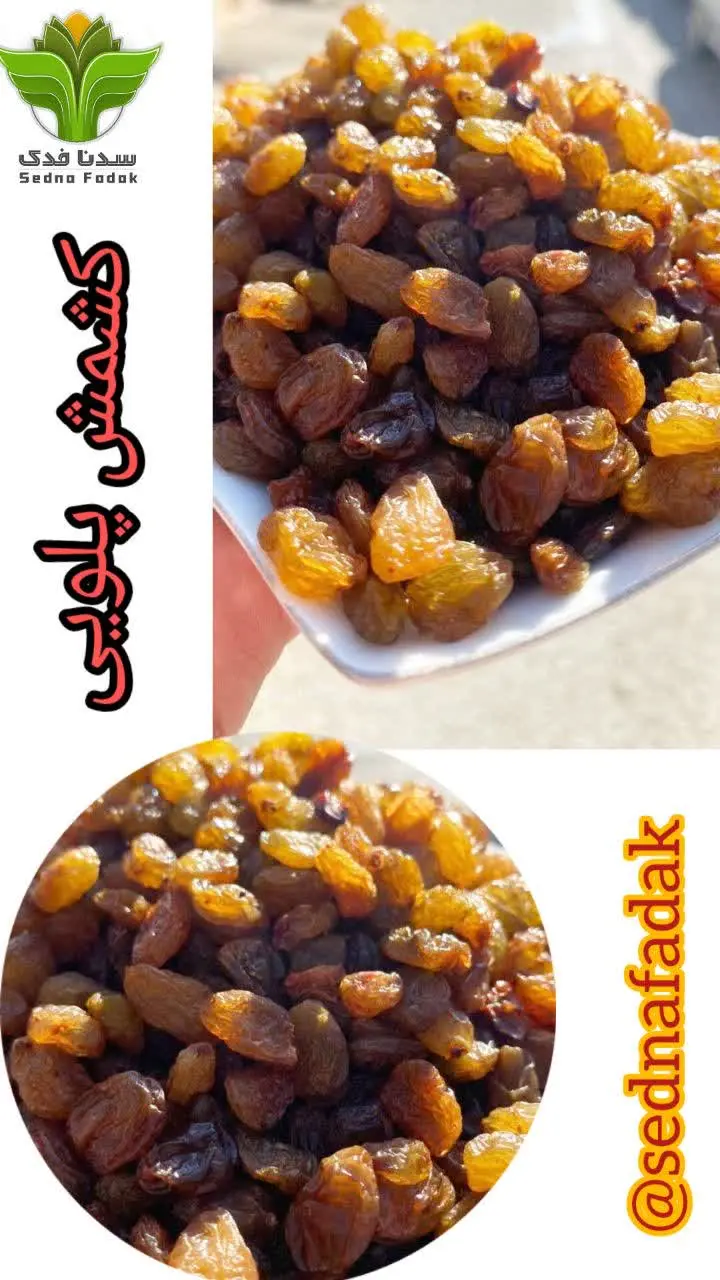 👌جالب است بدانید کشمش از پوسیدگی و سیاه شدن دندان پیشگیری می‌کند، از این رو توصیه می‌شود خانم‌ها این خشکبار را دربرنامه غذایی خود بگنجانند 
