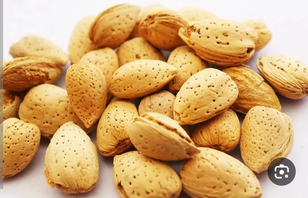 بادام درختی فوق ممتاز 
