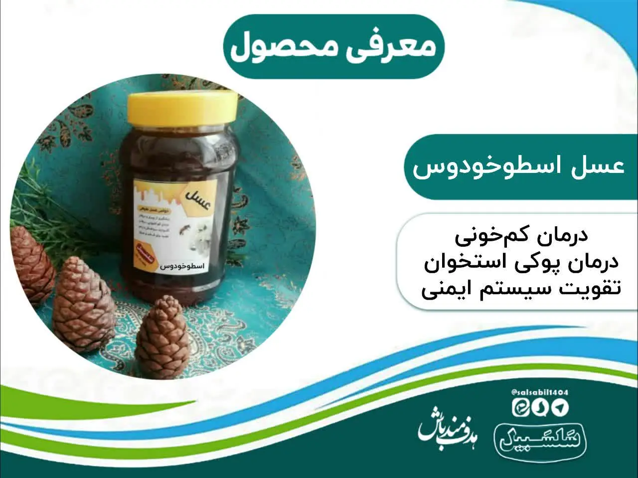🧹 در کتاب قانون بوعلی سینا... — تصویر محصول در تاپ هشتگ