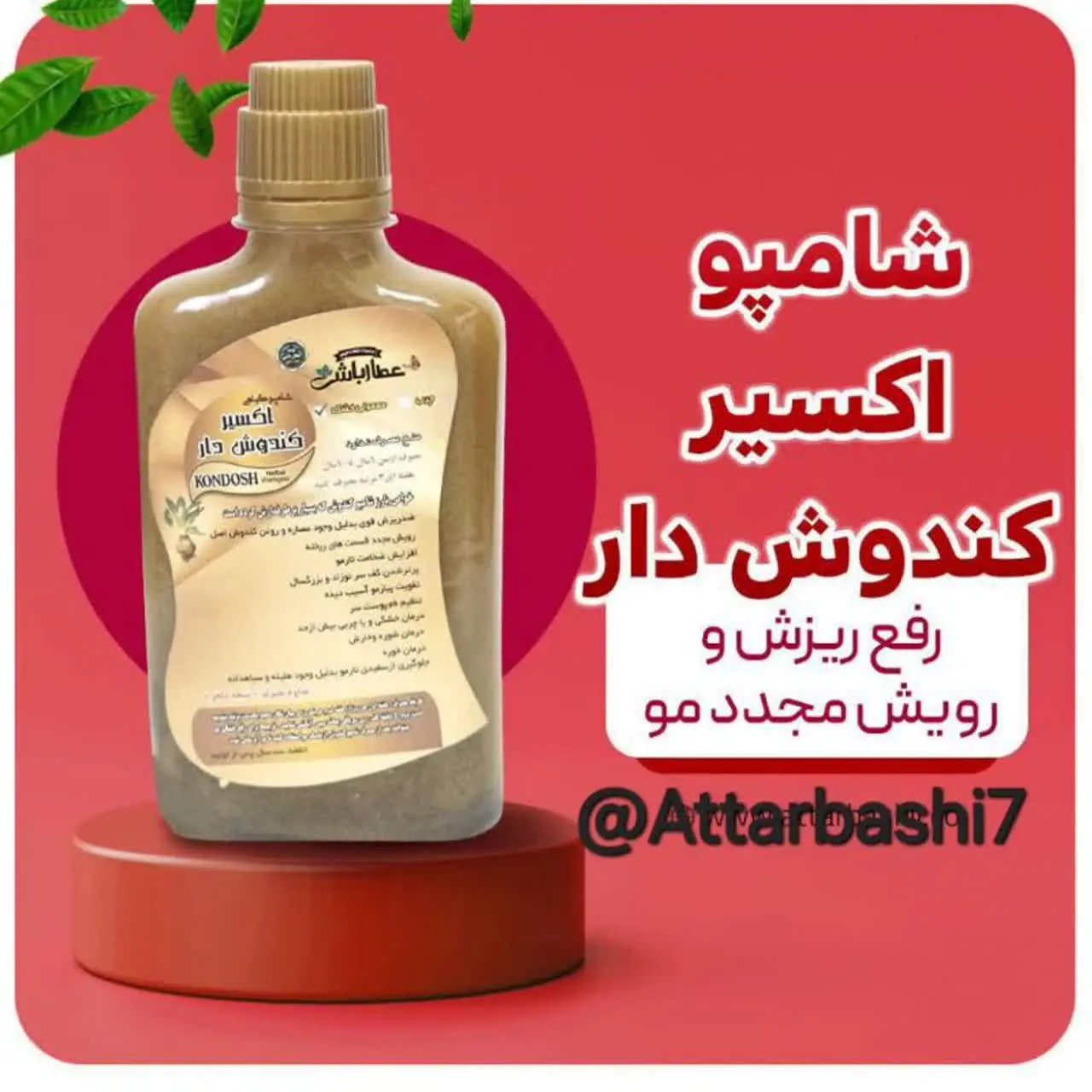 مزون ماهلین