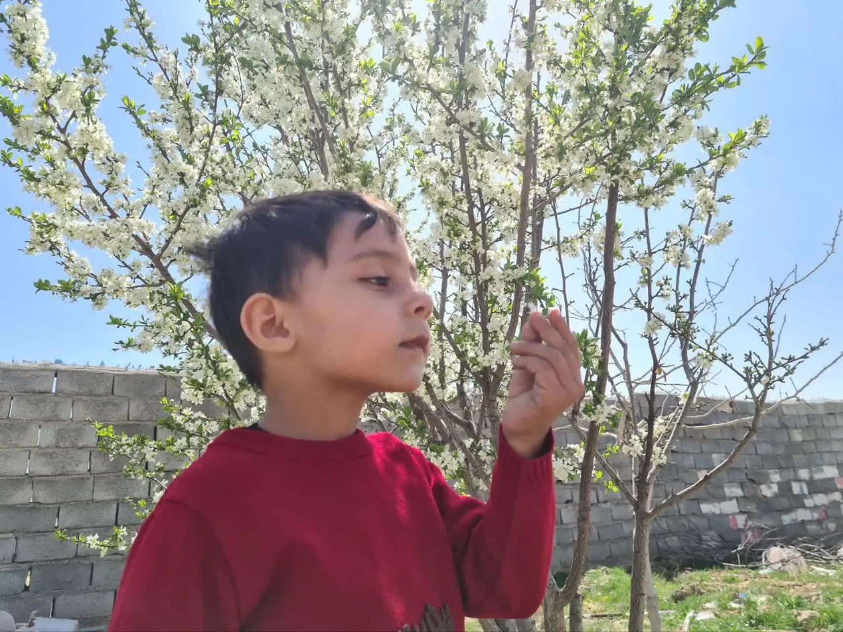 😍نام شرکت کننده: عادل حیاتی ۳ ساله مشهد
