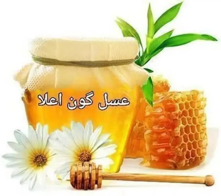 🍯 عسلگون اعلاء 🍯