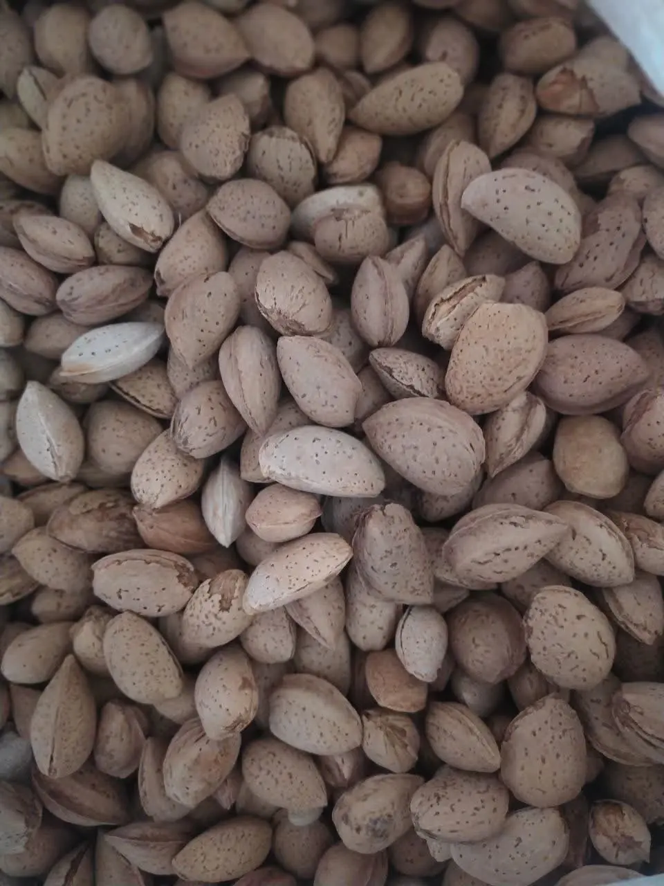 ✅ شارژ بادام درختی دو پوست
