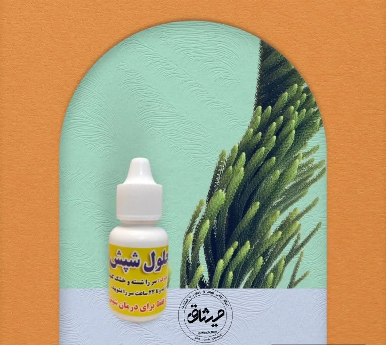 🟩 سر را شسته و خشک کنید به... — تصویر محصول در تاپ هشتگ