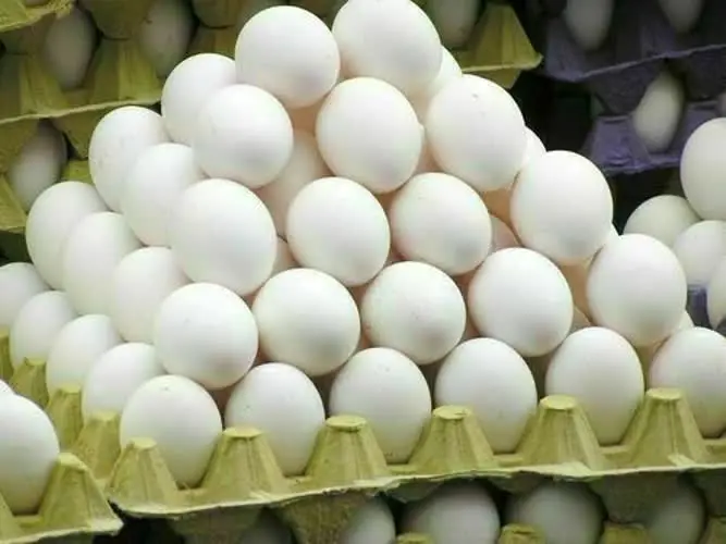 تخم مرغ زرده طلایی 
