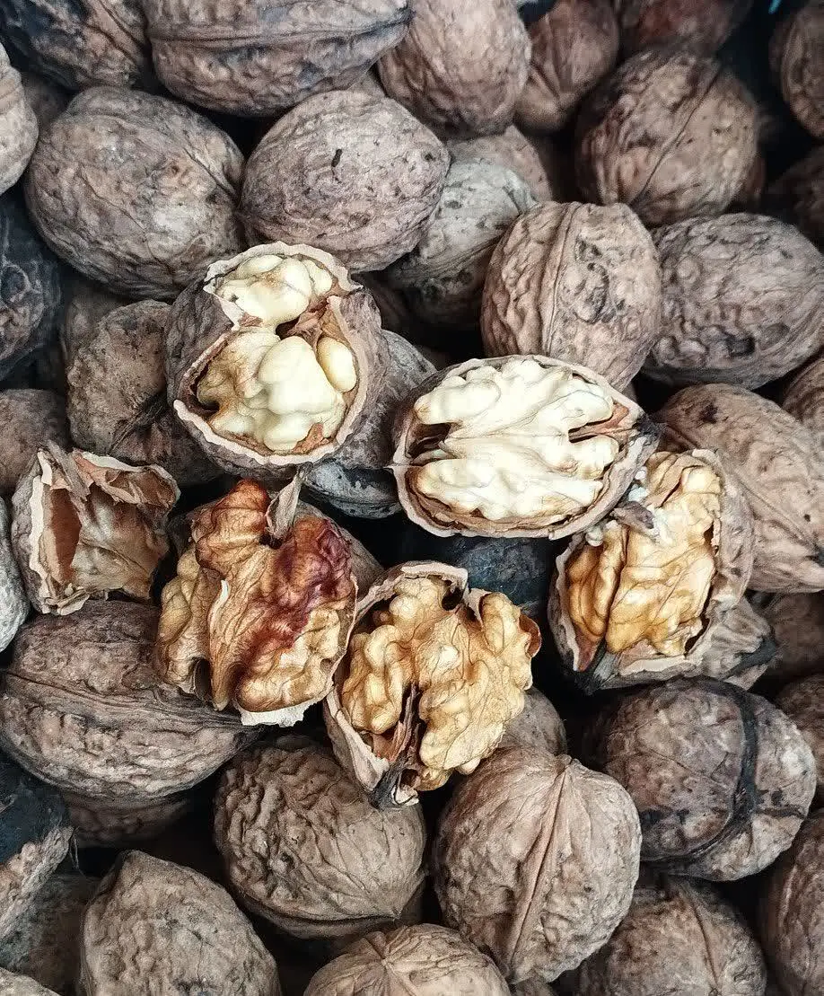 گردو خیس تازه امسالی به طور ناگهانی رسید😱
