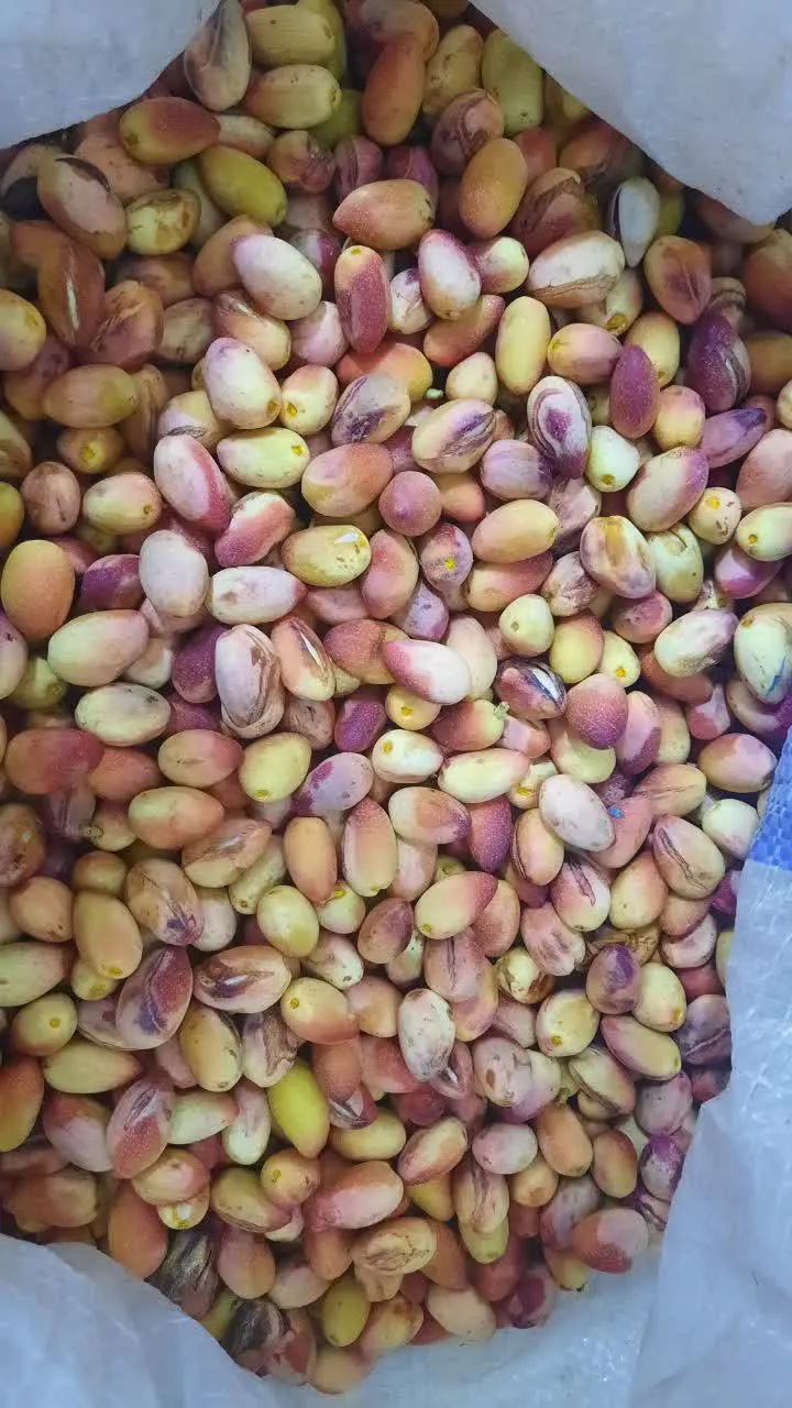 ✅ شارژ پسته تازه امسالی
