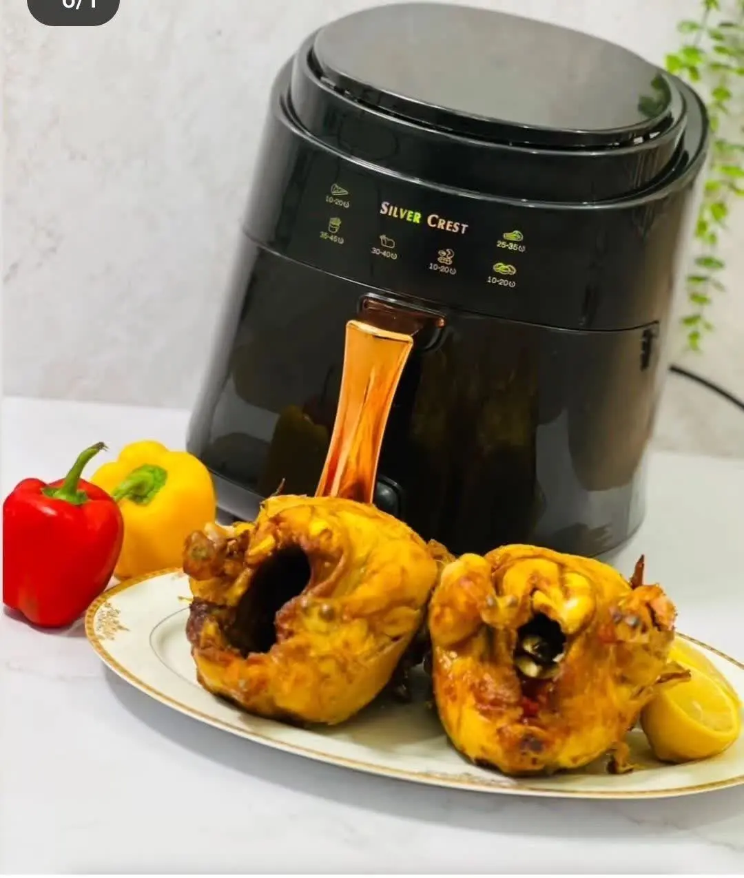 سرخکن ۱۰ لیتری مارک سیلورکرست 
