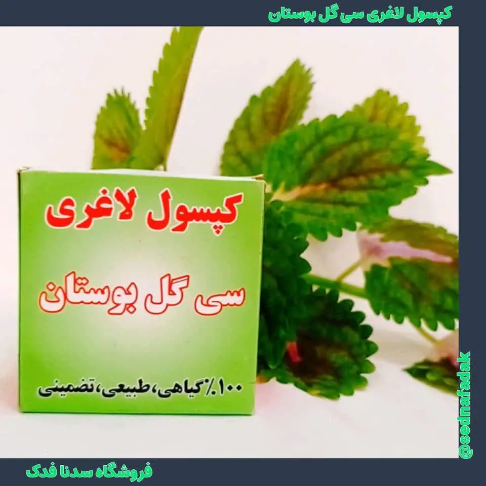 ️🔺️تهیه شده از تخم شوید، گل...