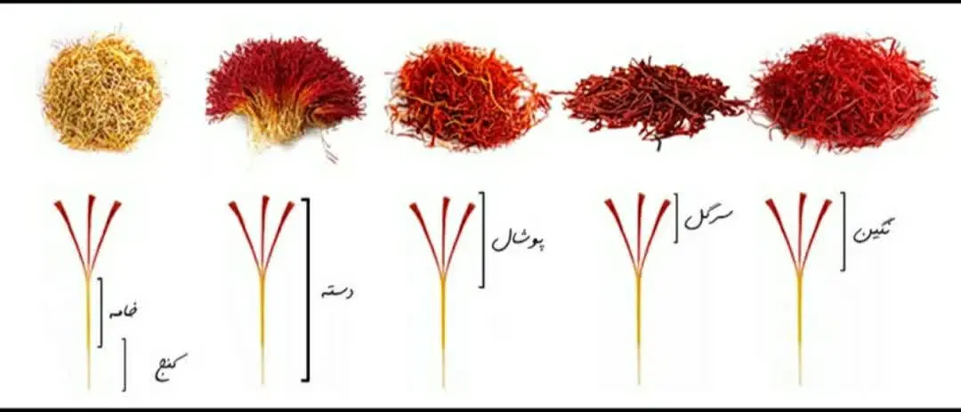 نو ع زعفران به ترتیب کیفیت 
