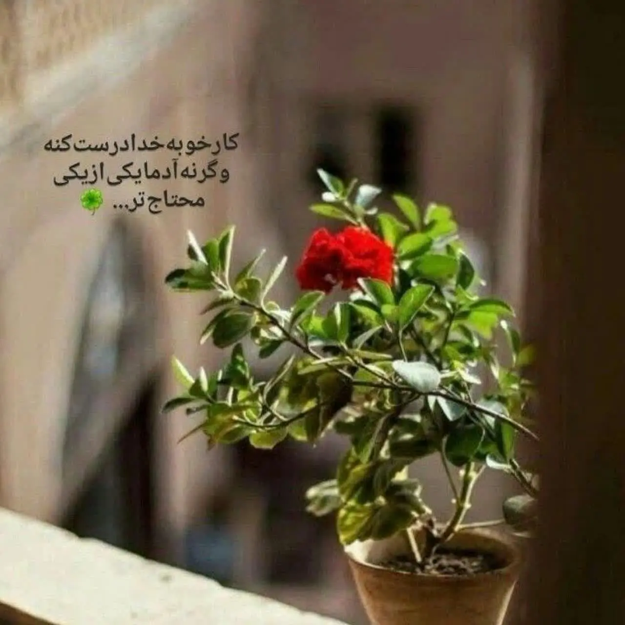 آنلاین شاپ پوشاک ترمه