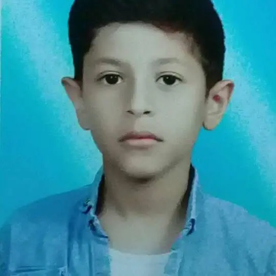 نام شرکت کننده: محمد طاها تیزدست
