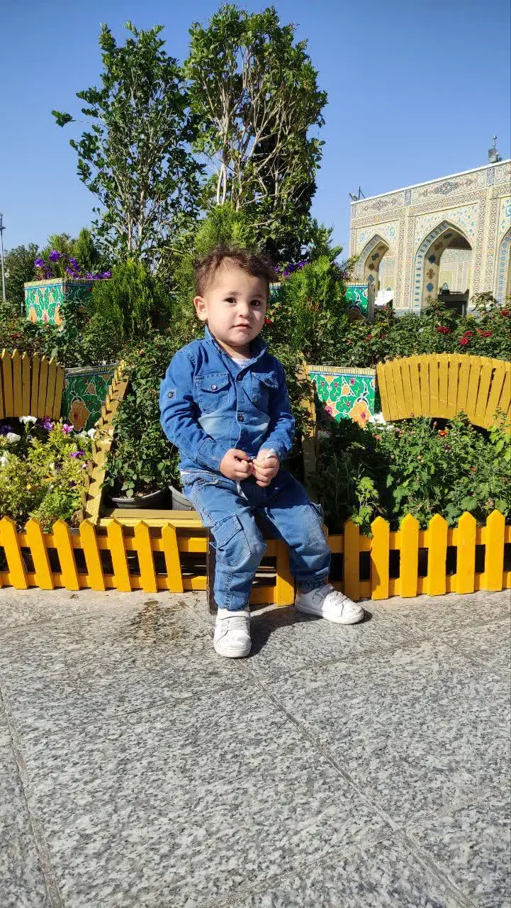 نام شرکت کننده: سیدمحمد جواد حسینی
