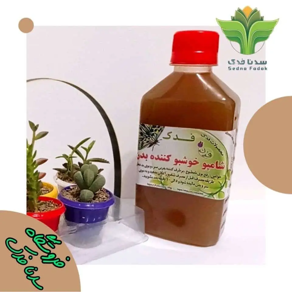 🌺شامپو خوشبو کننده بدن فدک